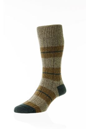 Picture of Stripe Bayfield Socks - Short