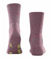 Picture of Sport Socks Cushioned Sole