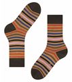 Picture of Socks Tinted Stripe Short