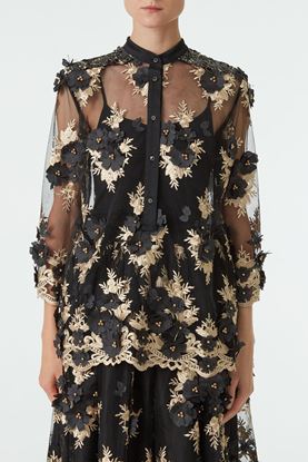 Picture of Multicolour See-Through Floral Embroidery Blouse