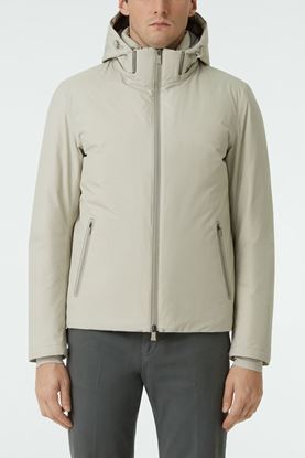 Picture of Ivory Hood Padded Jacket 