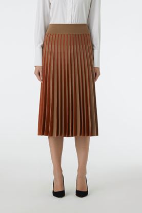 Picture of Brown and Red Pleat Skirt 