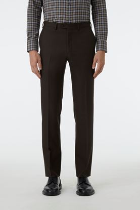 Picture of Brown Regular Fit Tailored Pants