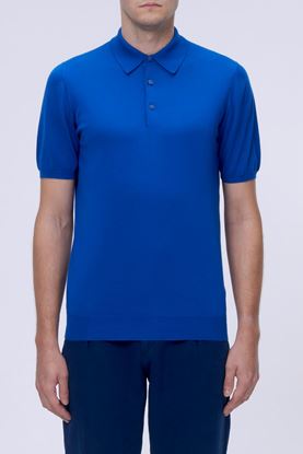 Picture of Blue Knitted Polo Shirt 