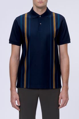 Picture of Blue and Brown Stripe Polo Shirt 