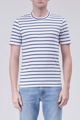 Picture of White and Blue Stripe T-Shirt
